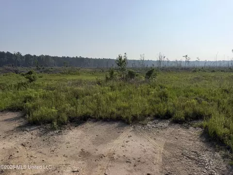 80 Acres Off Of Farmer Dr, Richton, MS 39476 photo 5