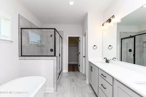 Bath - 7554 John Elliott Ln, Hernando, MS 38632 photo 1 of 3