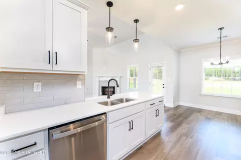 Other - 7554 John Elliott Ln, Hernando, MS 38632 photo 5 of 12