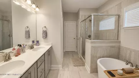 Bath - 1932 Ava Dr, Nesbit, MS 38651 photo 1 of 4