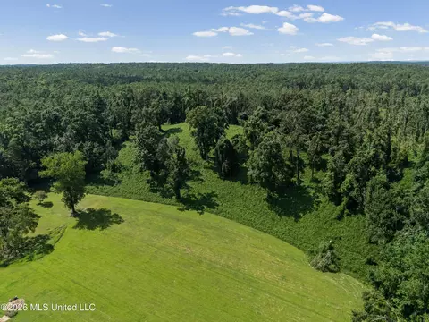 1116 County Road 2, Hickory Flat, MS 38633 photo 50