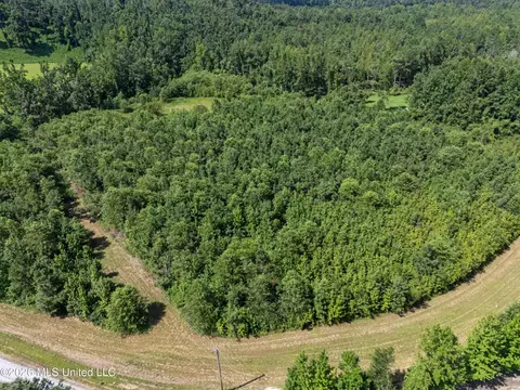 1116 County Road 2, Hickory Flat, MS 38633 photo 48