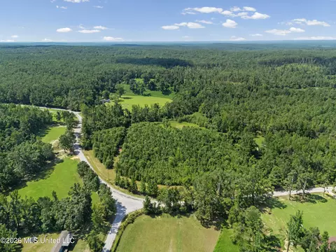 1116 County Road 2, Hickory Flat, MS 38633 photo 46