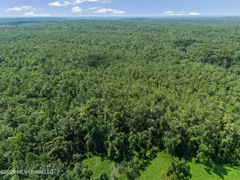 1116 County Road 2, Hickory Flat, MS 38633 photo 53
