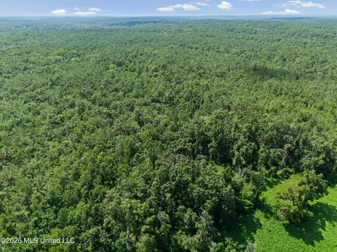1116 County Road 2, Hickory Flat, MS 38633 photo 52