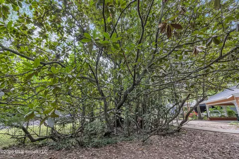 Exterior - 314 Colonial Cir, Jackson, MS 39211 photo 1 of 12