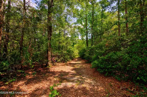 20237 Fox Ridge Dr, Saucier, MS 39574 photo 21