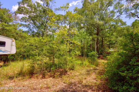 20237 Fox Ridge Dr, Saucier, MS 39574 photo 18