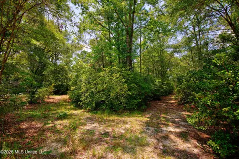20237 Fox Ridge Dr, Saucier, MS 39574 photo 23