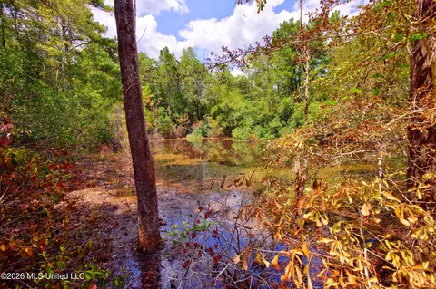 20237 Fox Ridge Dr, Saucier, MS 39574 photo 26