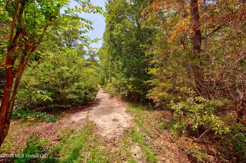 20237 Fox Ridge Dr, Saucier, MS 39574 photo 27