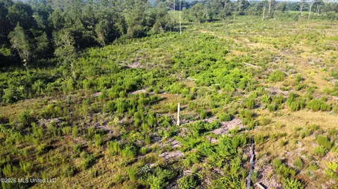 Ebenezer Road, Columbia, MS 39429 photo 5