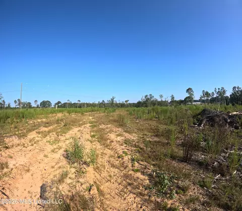 Ebenezer Road, Columbia, MS 39429 photo 19