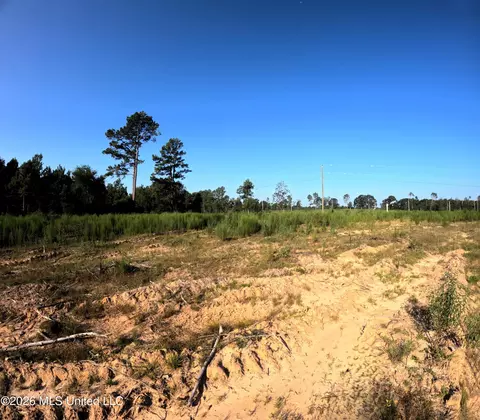 Ebenezer Road, Columbia, MS 39429 photo 20