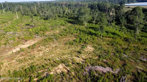 Ebenezer Road, Columbia, MS 39429 photo 3