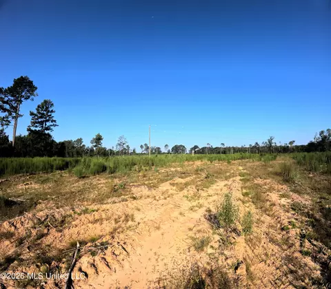 Ebenezer Road, Columbia, MS 39429 photo 18