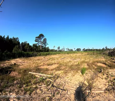 Ebenezer Road, Columbia, MS 39429 photo 17