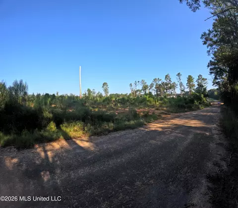 Ebenezer Road, Columbia, MS 39429 photo 16