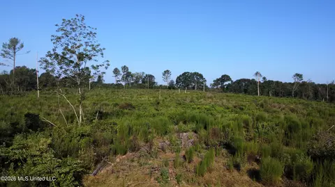 Ebenezer Road, Columbia, MS 39429 photo 13