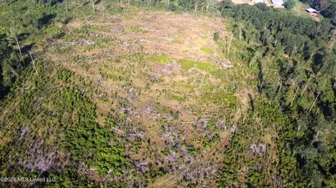 Ebenezer Road, Columbia, MS 39429 photo 7