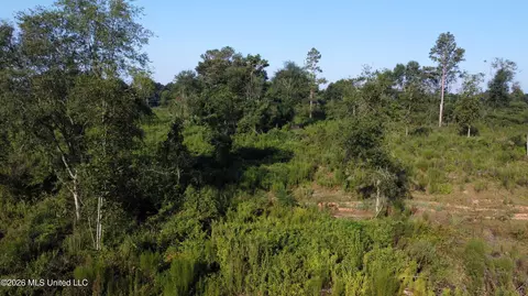Ebenezer Road, Columbia, MS 39429 photo 10