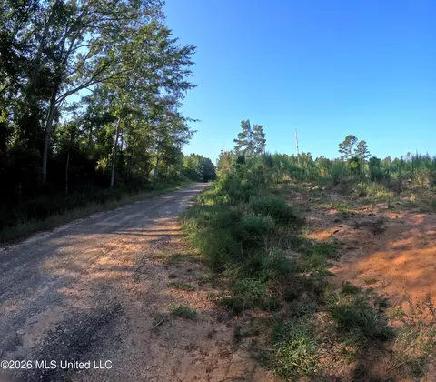 Ebenezer Road, Columbia, MS 39429 photo 15