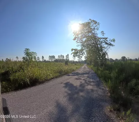 Sinclair Road, Columbia, MS 39429 photo 8