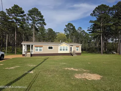 3185 NE Mound Rd, Wesson, MS 39191 photo 2