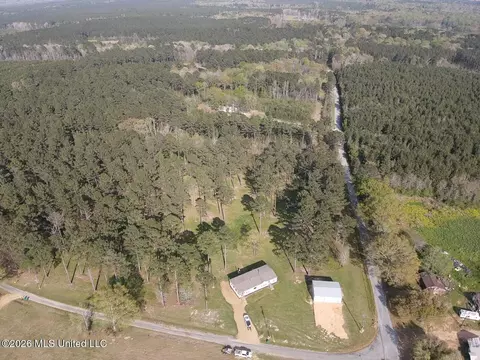 3185 NE Mound Rd, Wesson, MS 39191 photo 53