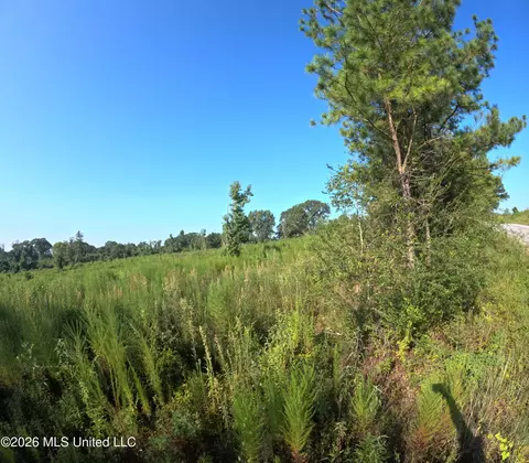 Sinclair Road, Columbia, MS 39429 photo 11