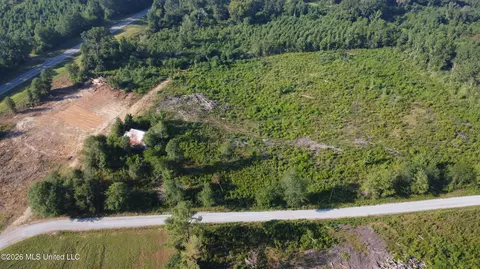 Sinclair Road, Columbia, MS 39429 photo 5