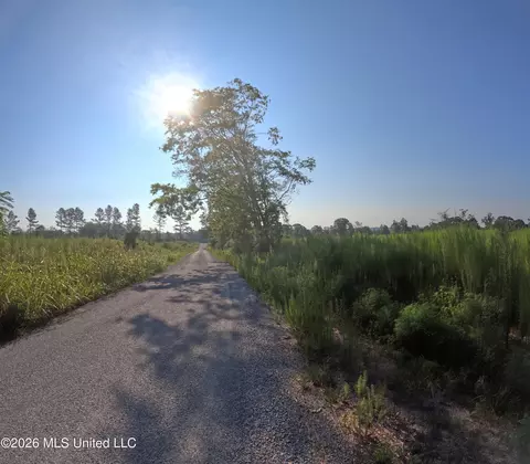 Sinclair Road, Columbia, MS 39429 photo 7