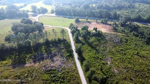 Sinclair Road, Columbia, MS 39429 photo 3