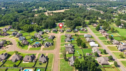 View/Area - 1316 N Heritage Cir, Hernando, MS 38632 photo 3 of 5