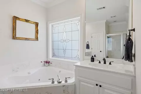 Bath - 106 Cedar Green Cv, Canton, MS 39046 photo 2 of 4
