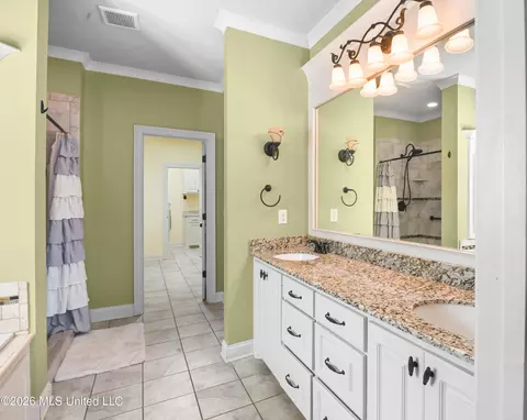 Bath - 144 Amethyst Dr, Brandon, MS 39047 photo 1 of 6