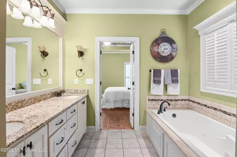 Bath - 144 Amethyst Dr, Brandon, MS 39047 photo 3 of 6