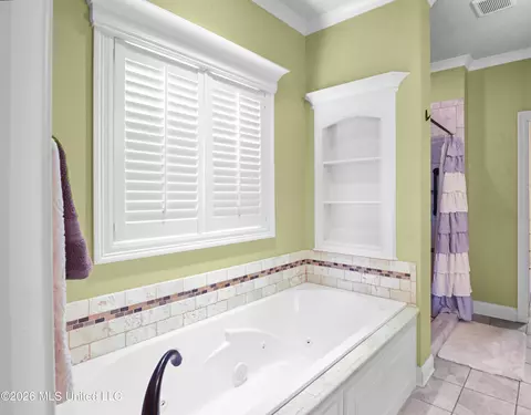 Bath - 144 Amethyst Dr, Brandon, MS 39047 photo 4 of 6