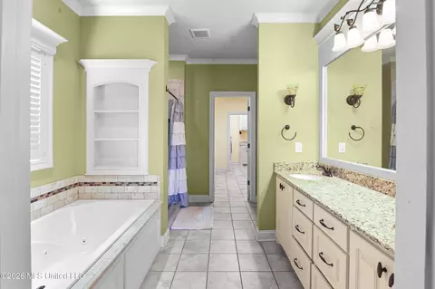 Bath - 144 Amethyst Dr, Brandon, MS 39047 photo 2 of 6