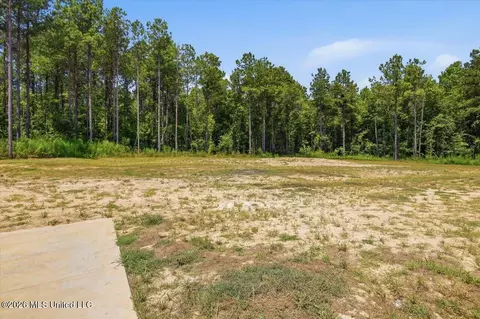 Other - 169 Henry Sample Rd, Lena, MS 39094 photo 15 of 15