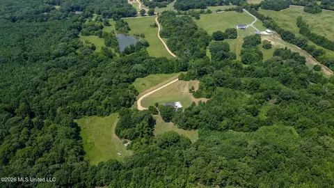 View/Area - 4860 Gitter Rd, Hernando, MS 38632 photo 3 of 5