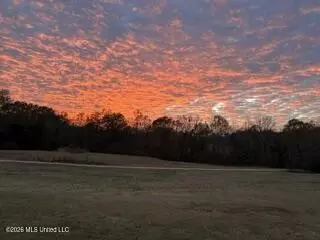 Other - 4860 Gitter Rd, Hernando, MS 38632 photo 25 of 27