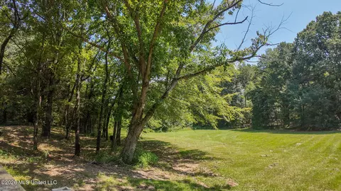 Exterior - 4860 Gitter Rd, Hernando, MS 38632 photo 16 of 17