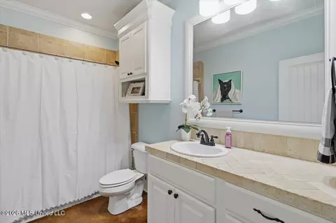 Bath - 218 Emerald Cir, Brandon, MS 39047 photo 2 of 2