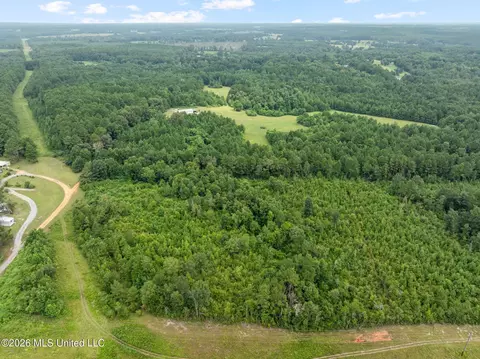 1 Ethel Rd, Collins, MS 39428 photo 7
