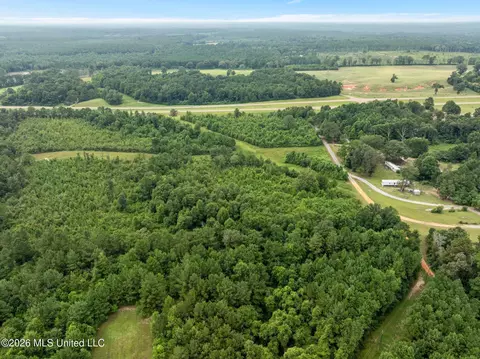 1 Ethel Rd, Collins, MS 39428 photo 11