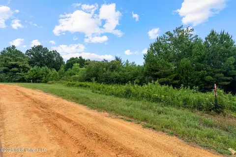 1 Ethel Rd, Collins, MS 39428 photo 14