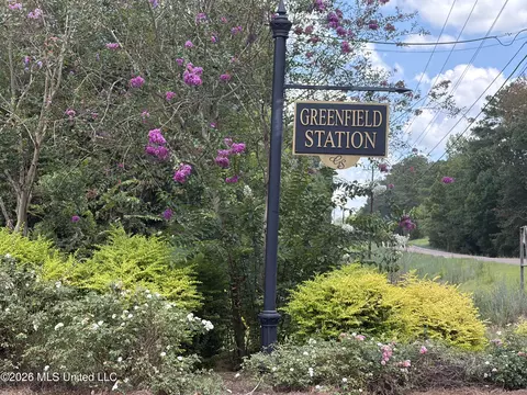Other - 995 Filmore Dr, Brandon, MS 39042 photo 8 of 8