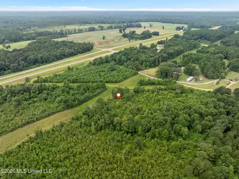 2 Ethel Rd, Collins, MS 39428 photo 9