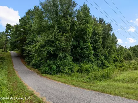 3 Hwy 84, Collins, MS 39428 photo 13